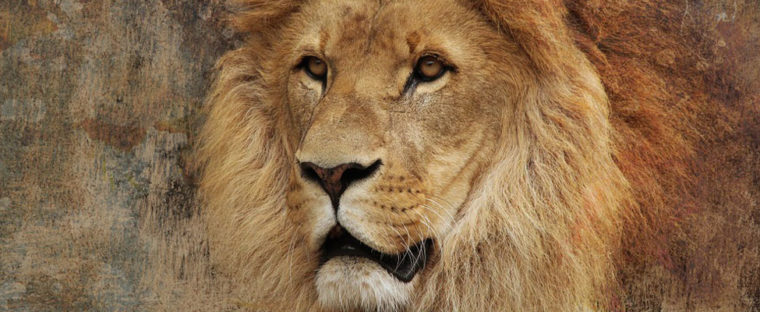 Imposto-de-Renda-2018-Confira-as-mudanças-Krater-Contabilidade